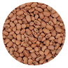 Cowpea