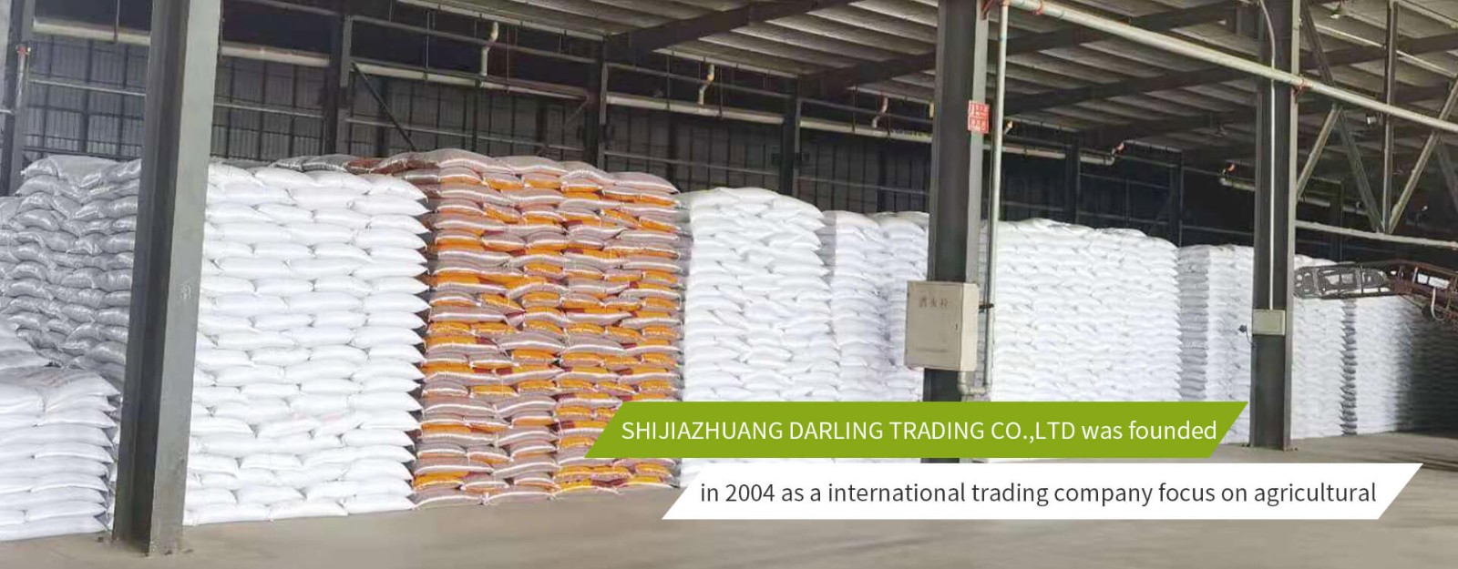 Shijiazhuang Darling Trading Co., Ltd.