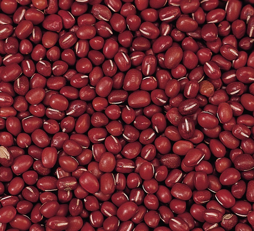 BAOQING SMALL RED BEAN