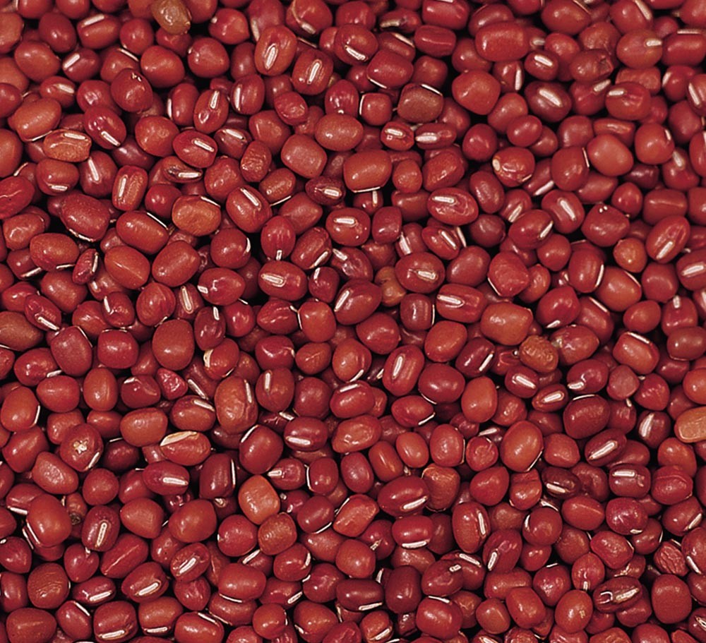 TIANJIN SMALL RED BEAN