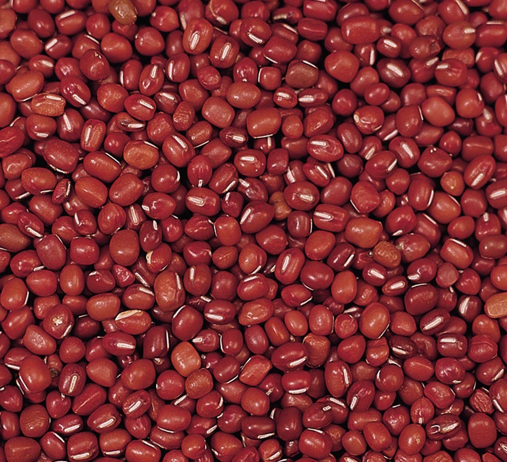 天津红小豆