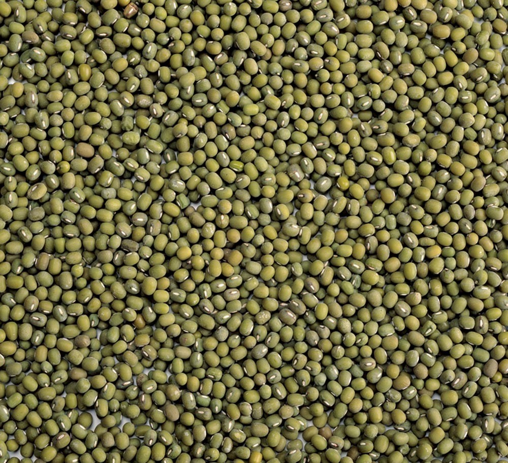 UNPOLISHED MUNG BEAN