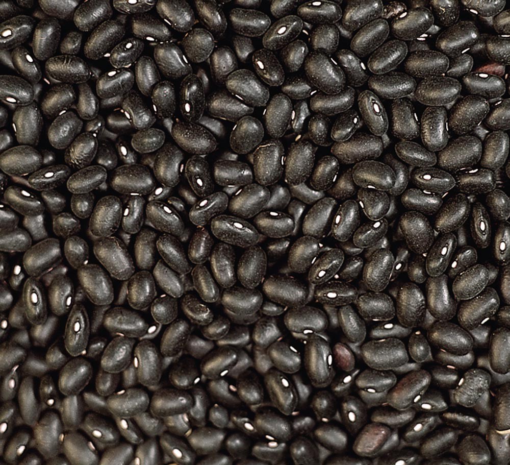 BLACK KIDNEY BEAN