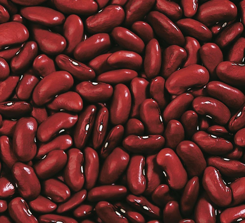 Dark Kidney Bean