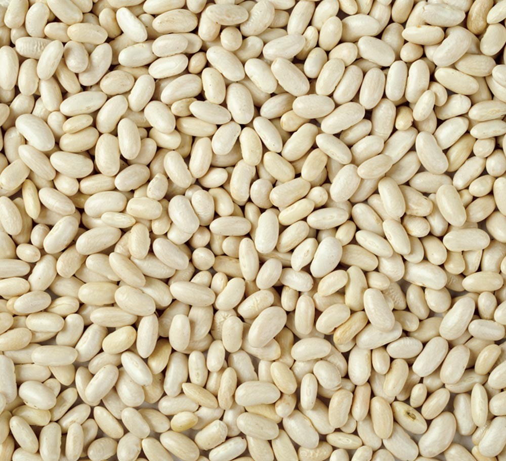 Blanchedpeanut Kernels