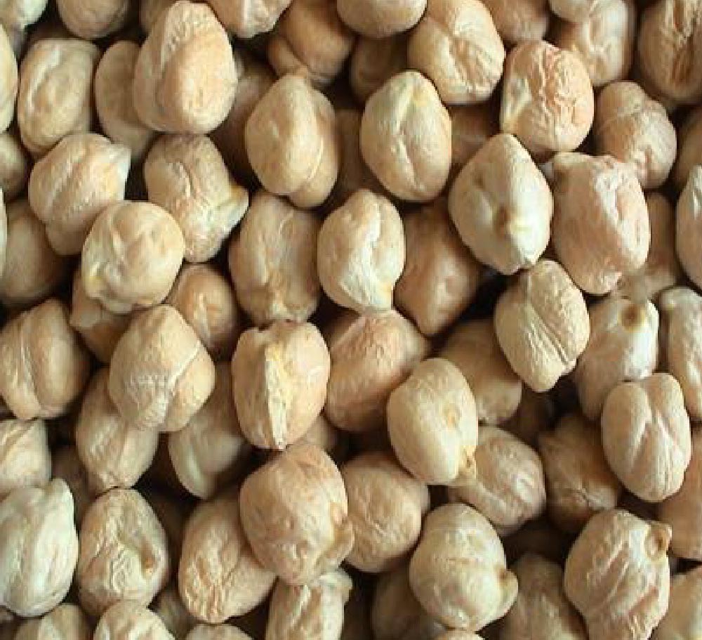 CHICK PEA