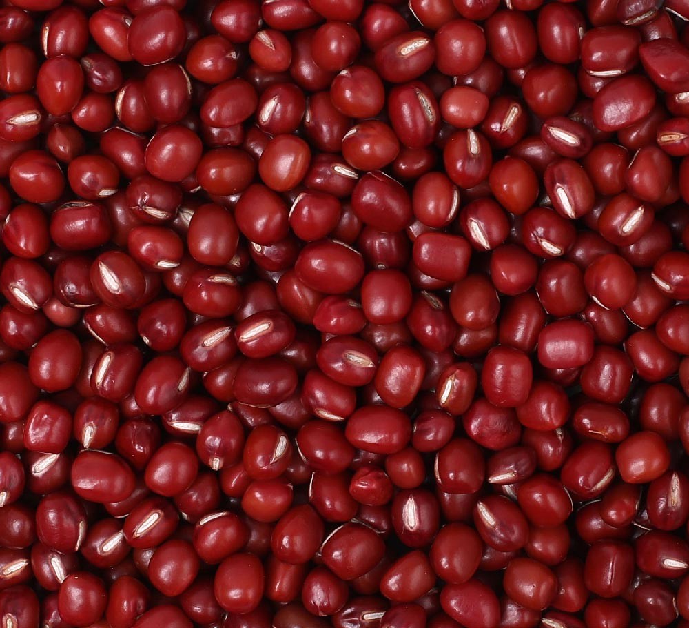 Small Red Bean