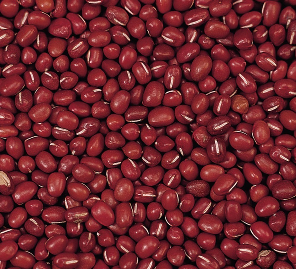 BAOQING SMALL RED BEAN