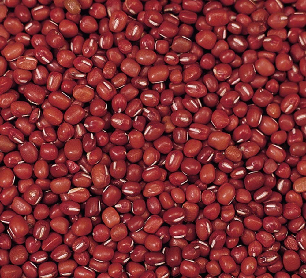 TIANJIN SMALL RED BEAN