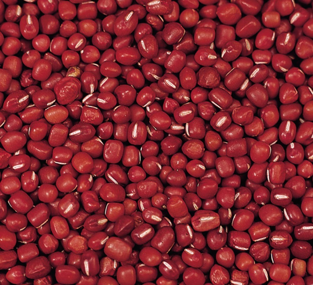 QIDONG SMALL RED BEAN