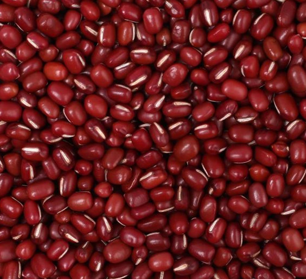 SMALL RED BEAN JAPANESE TYPE