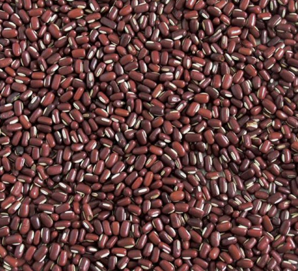 RED BAMBOO BEAN