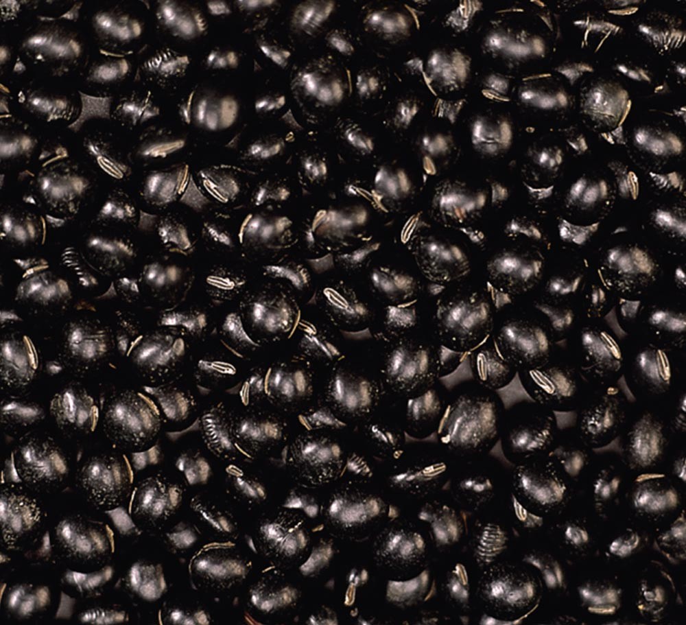 BLACK BEAN GREEN KERNAL