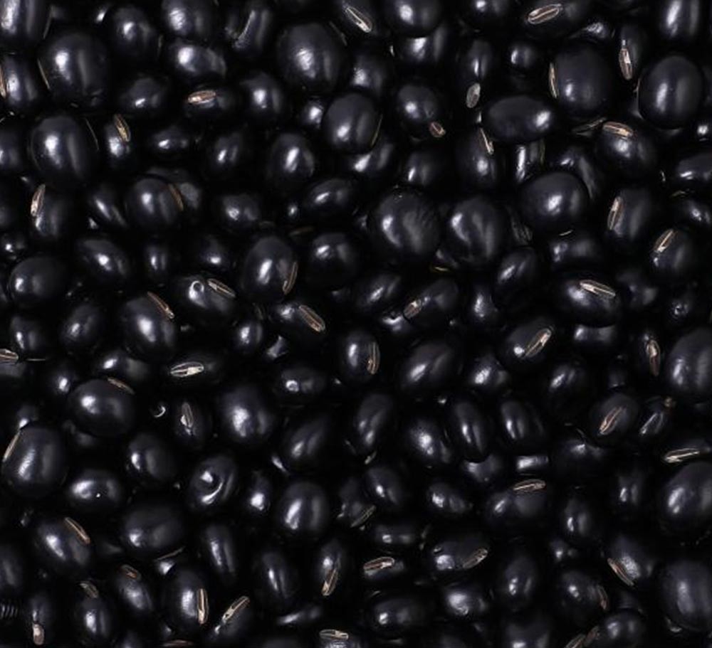 BLACK BEAN WITH YELLOW KERNAL