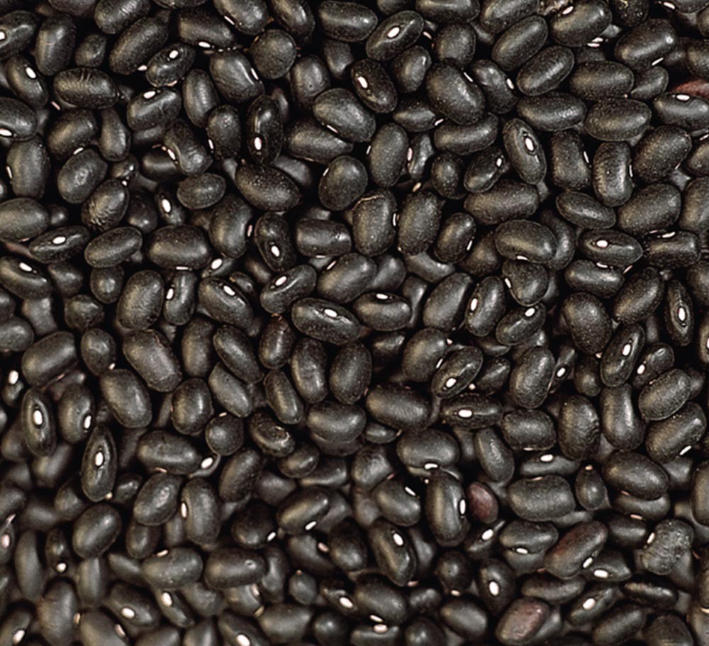 BLACK KIDNEY BEAN