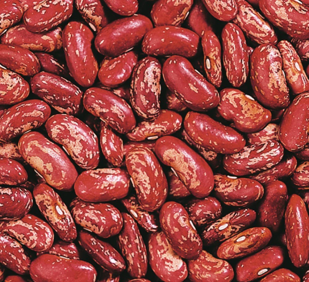 RED SPECKLED KIDNEY BEAN