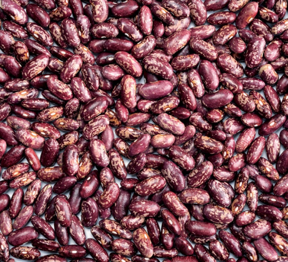DARK RED SPECKLED KIDNEY BEAN