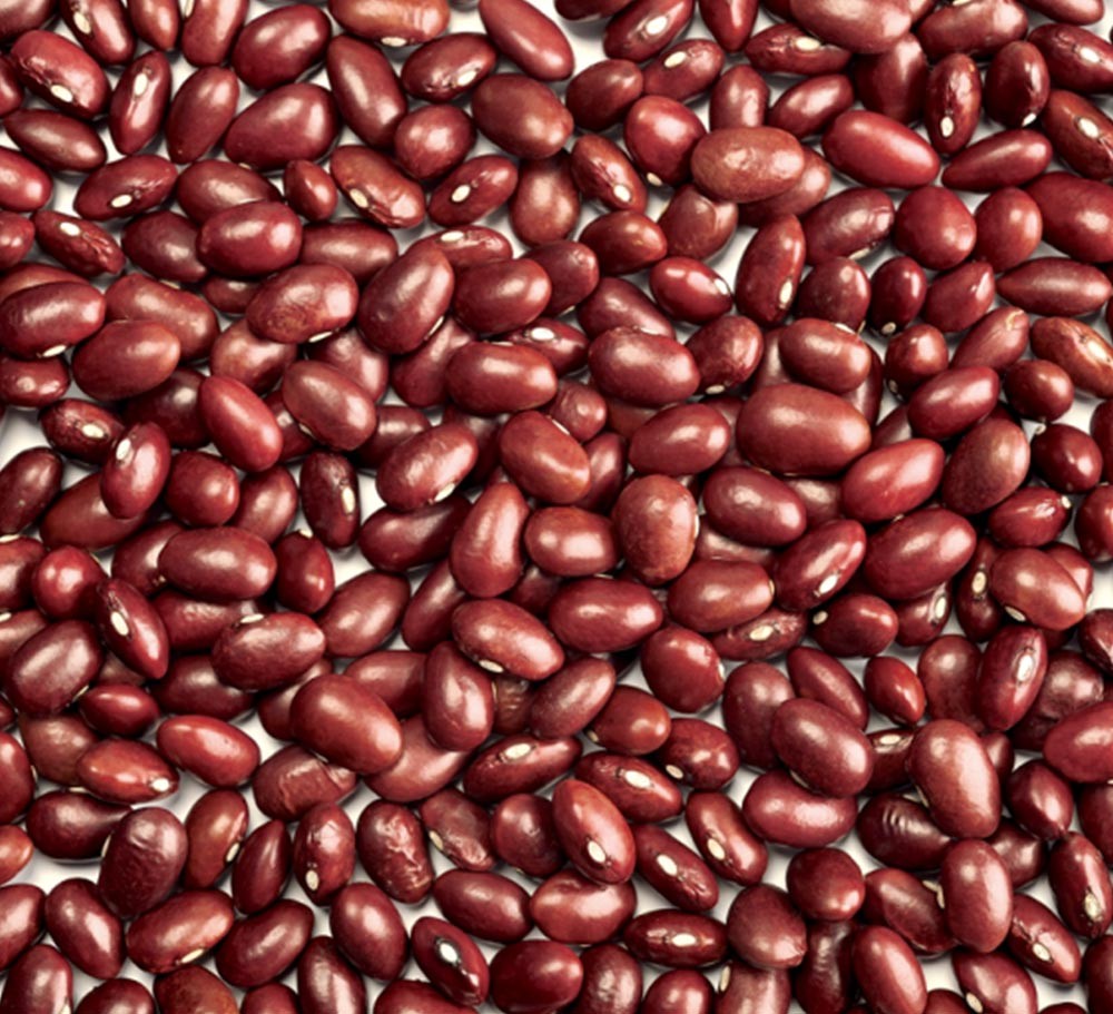 JAPANESE RED KIDNEY BEAN