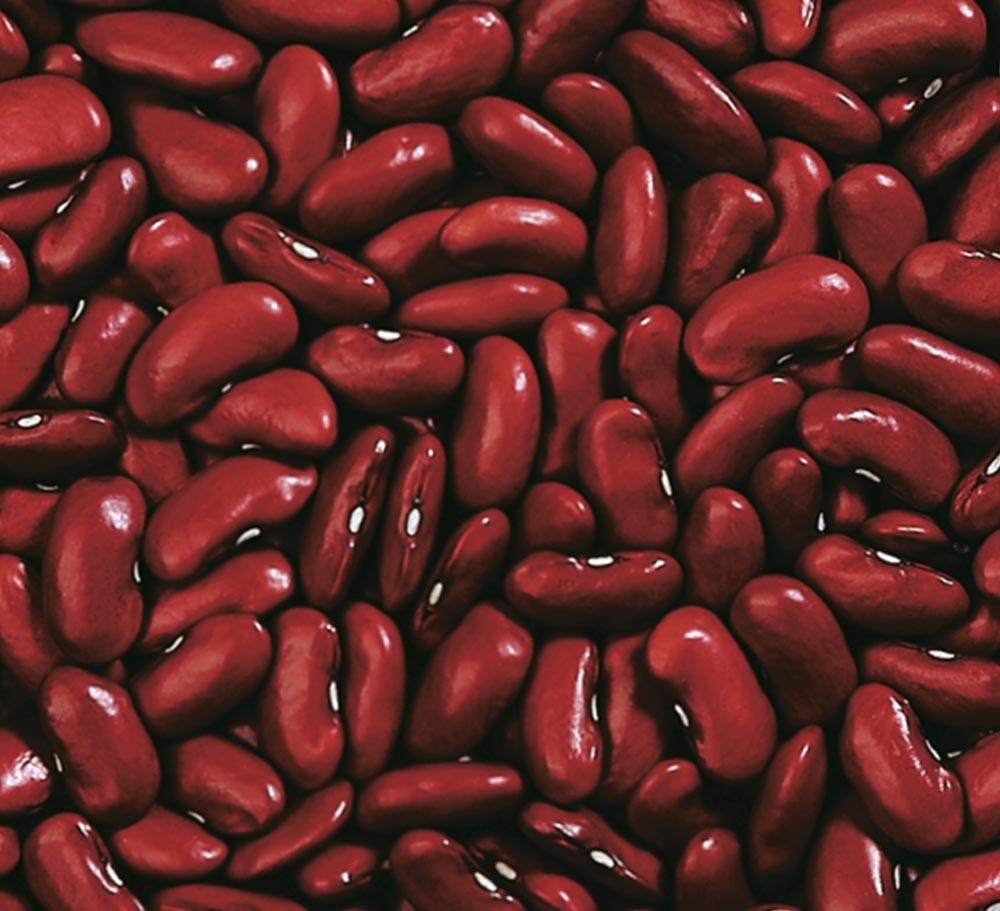DARK RED KIDNEY BEAN
