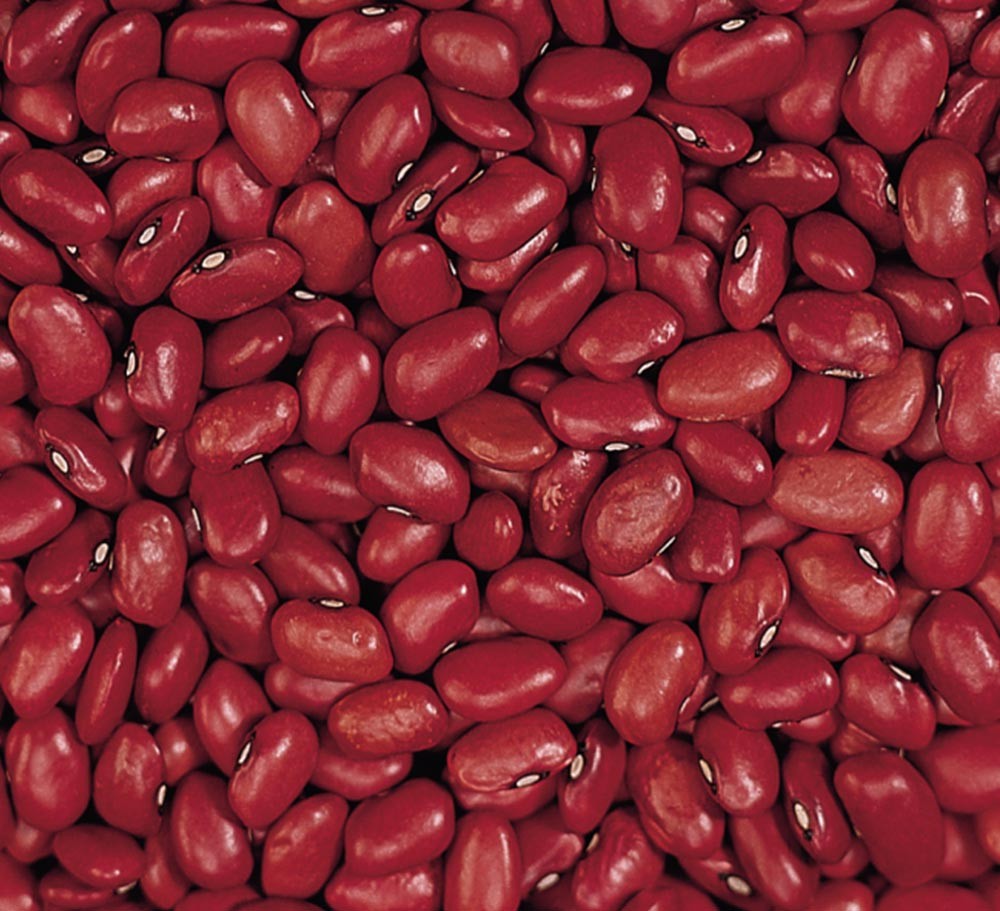 SMALL RED KIDNEY BEAN