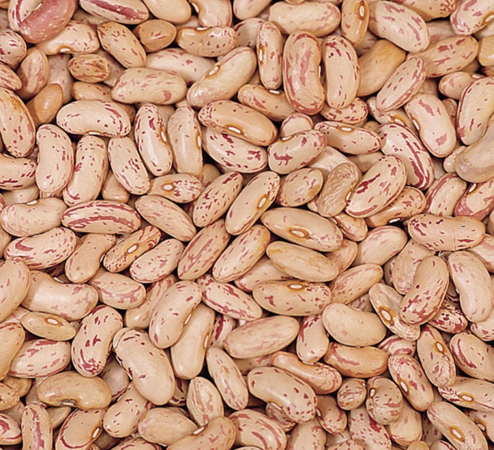 LIGHT SPECKLED BEAN,LONG SHAPE