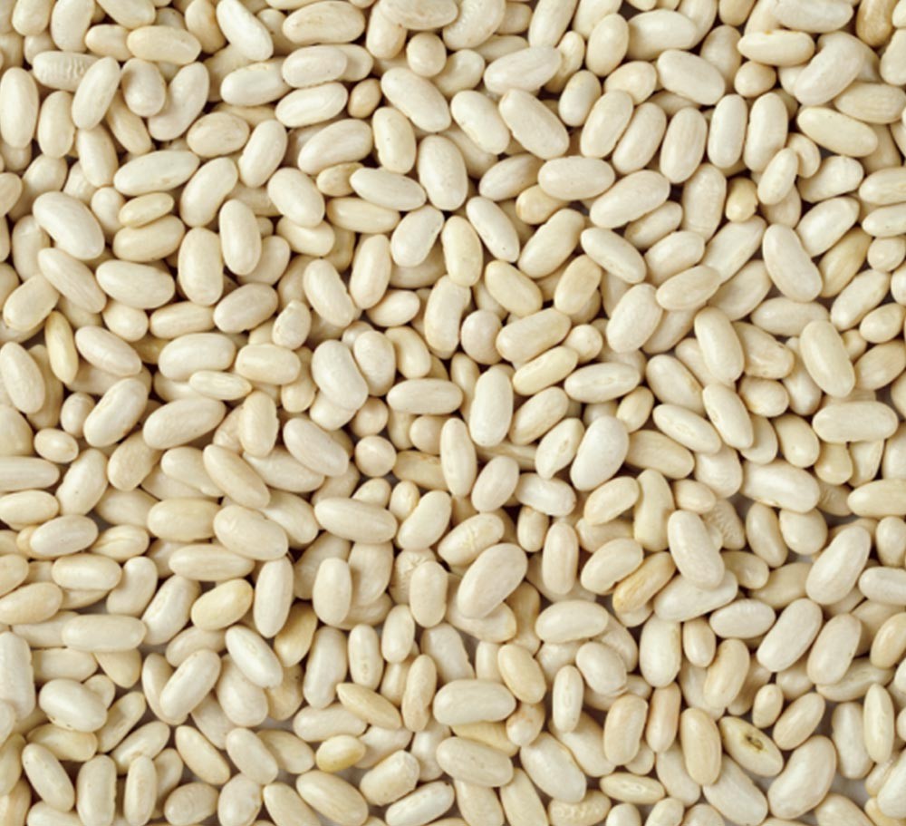 WHITE KIDNEY BEAN(BAI SHA KE)