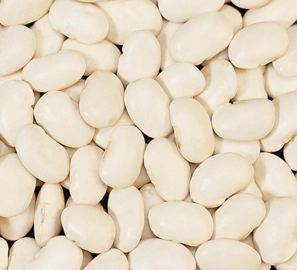 LARGE WHITE KIDNEY BEAN