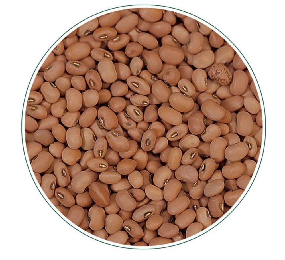 WHITE COWPEA