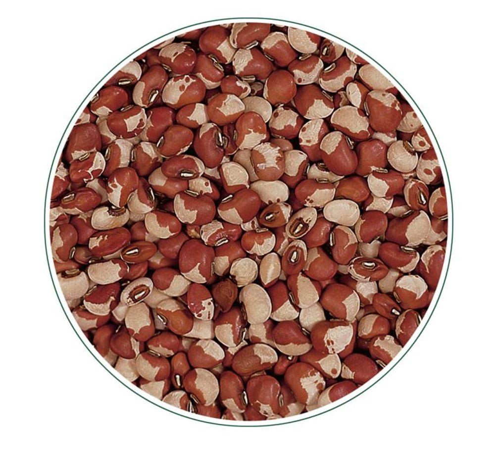 COLOURED COWPEA