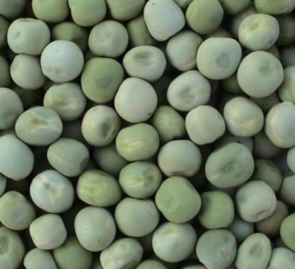 GREEN PEA