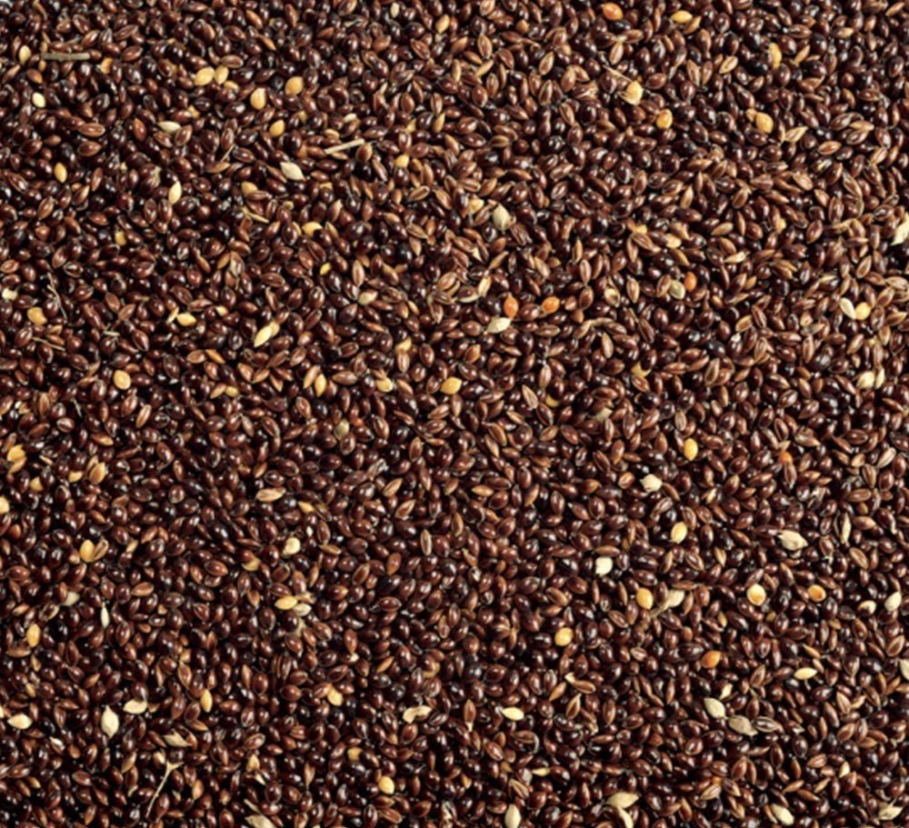 BLACK MILLET