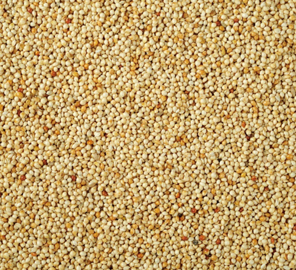 WHITE MILLET