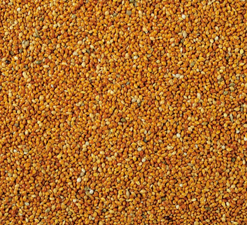 RED MILLET