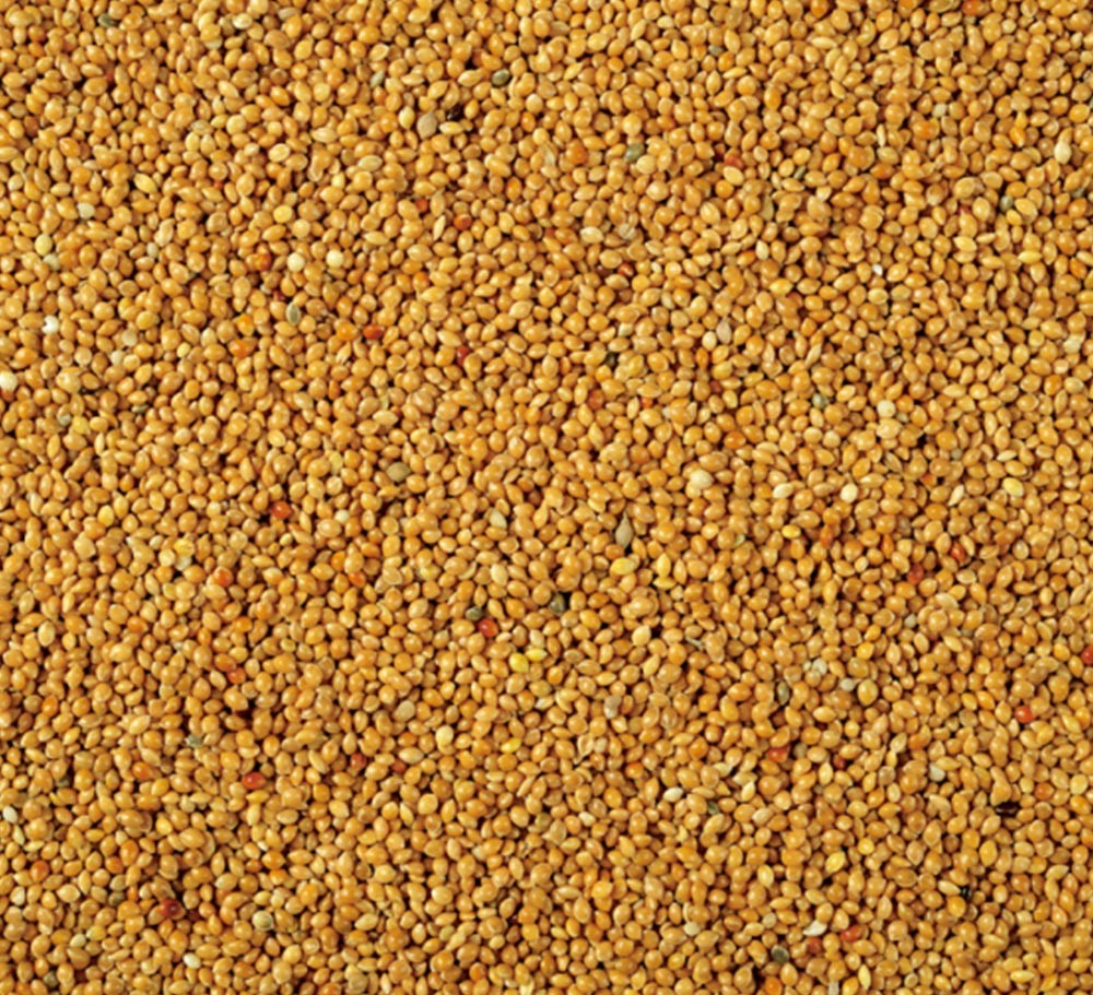 YELLOW MILLET