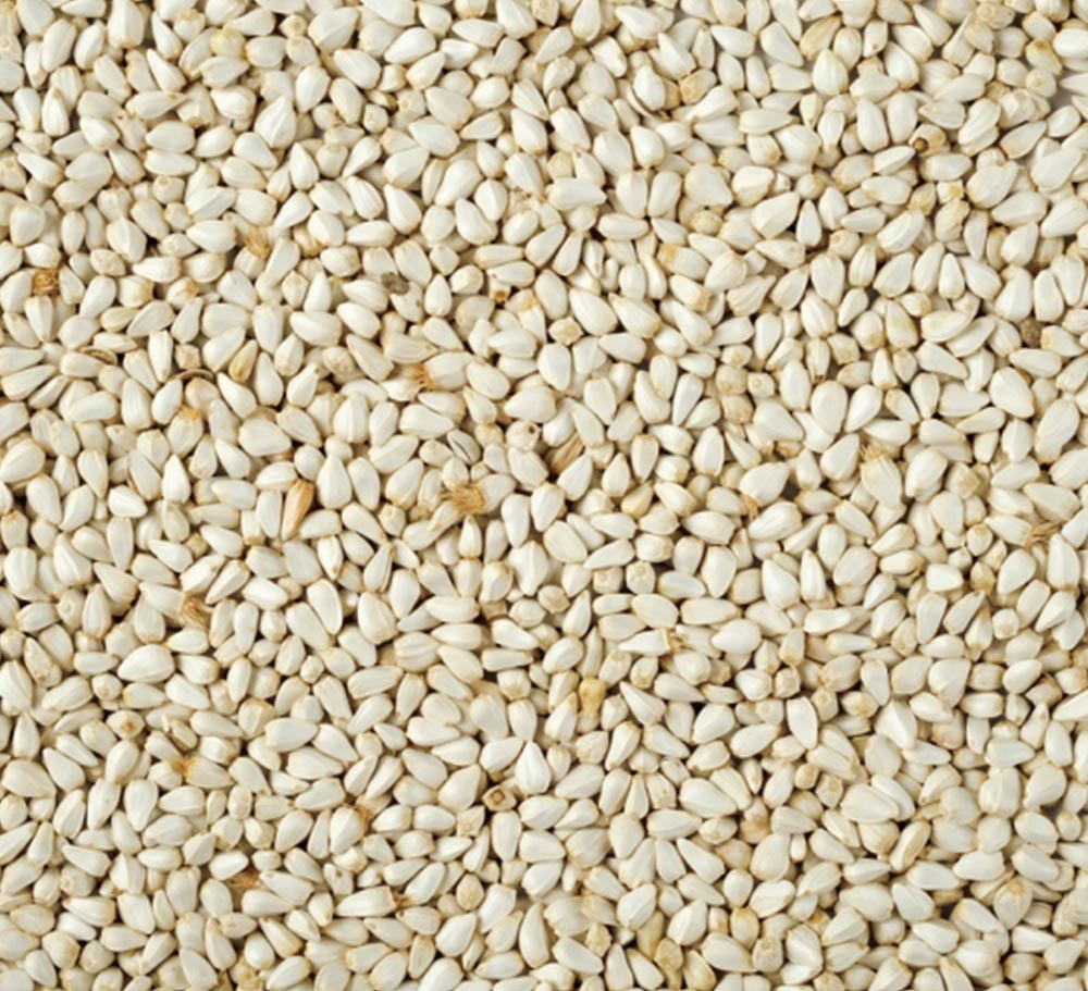 HULLED SESAME SEEDS