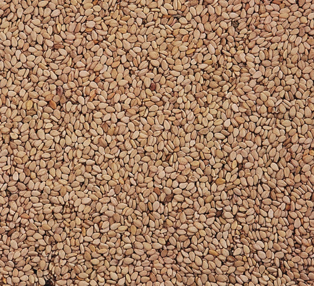 YELLOW WHITE SESAMESEEDS