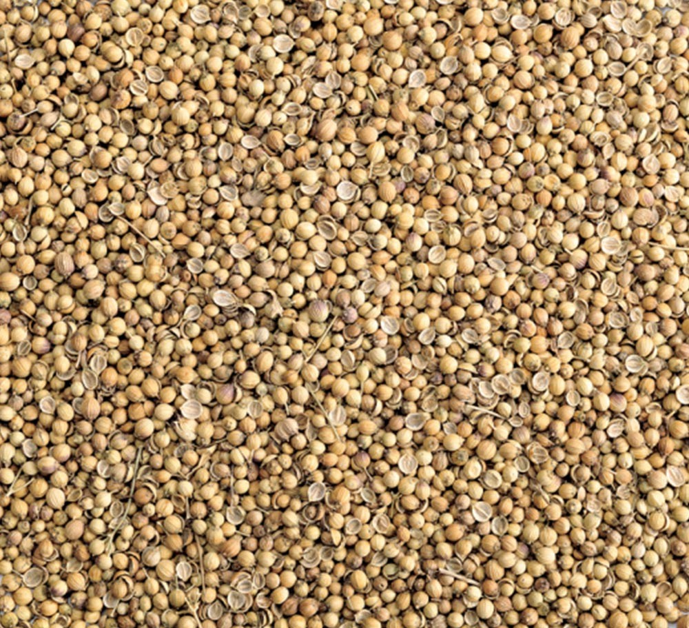 CORIANDER SEEDS