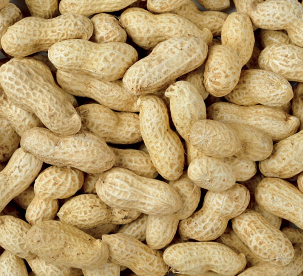 CHINESE PEANUT INSHELLS