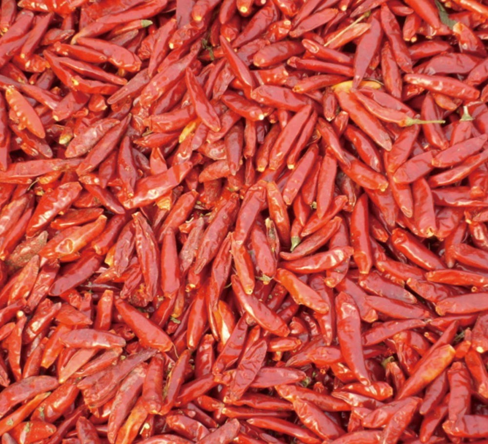 CHILLI