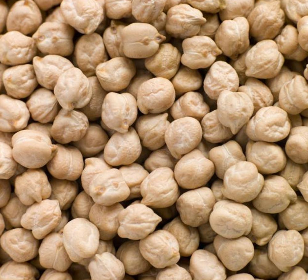 CHICK PEA
