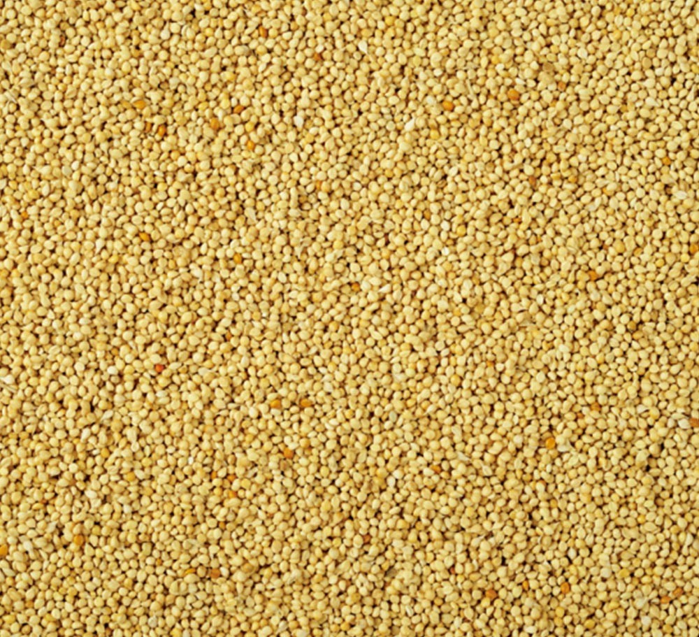 YELLOW MILLET IN HUSK