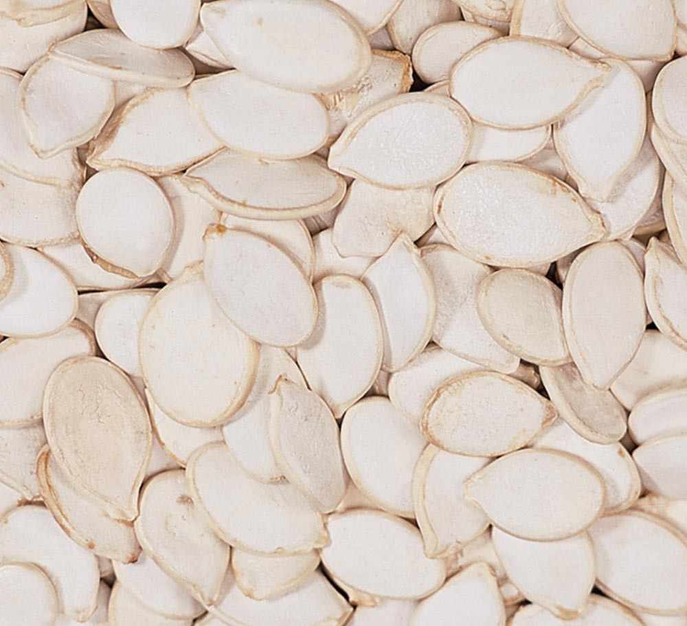 PUMKIN SEEDS